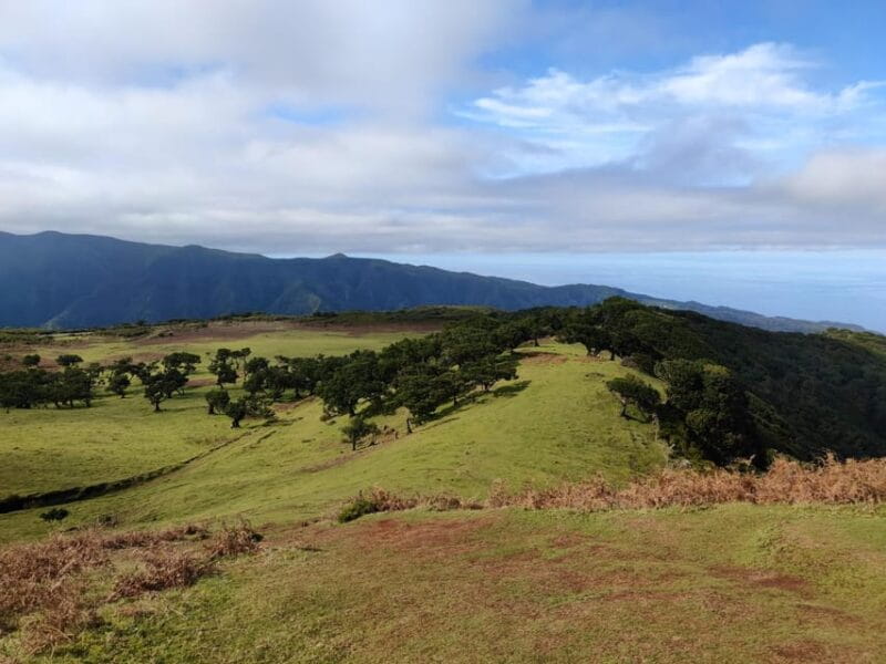 Hike in Fanal in a different way - A Closer Look at the Fanal Hike: What to Expect and Why It Matters