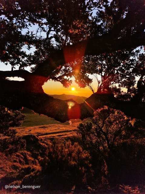 Hike in Fanal in a different way - Price and Logistics: Good Value in a Unique Setting