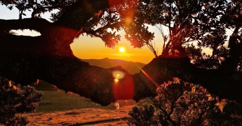 Hike in Fanal in a different way - Final Thoughts: Who Should Consider This Experience?