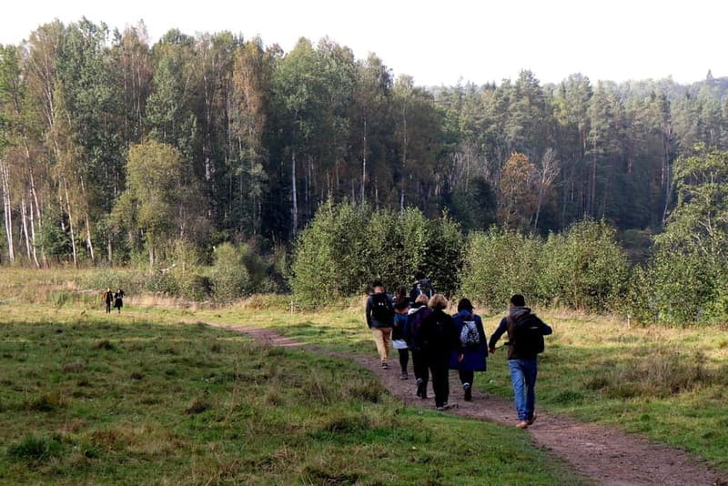Hike In Gauja National Park - Sigulda - Key Points / Takeaways