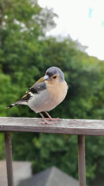 Hike in Rabaçal in a different way - Key Points / Takeaways