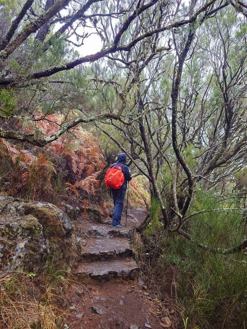 Hike in Rabaçal in a different way - Who Will Love This Tour?