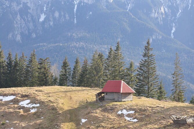 Hike in the Wild Private Photo Tour - Key points / Takeaways