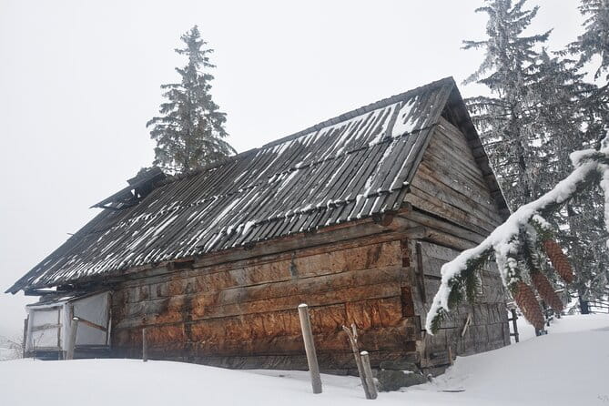 Hike in the Wild Private Photo Tour - The Itinerary: A Day in the Mountains