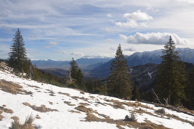 Hike in the Wild Private Photo Tour - Who Is This Tour Best For?