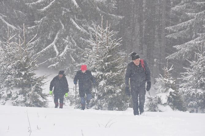 Hike in the Wild Private Photo Tour - Price and Practicalities: Is It Worth It?