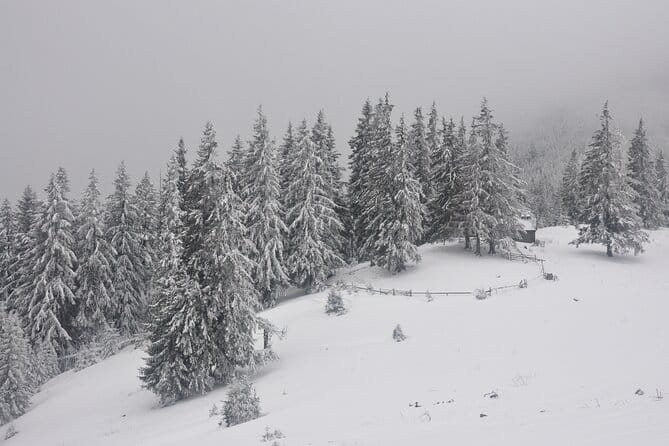 Hike in the Wild Private Photo Tour - Final Thoughts: Who Should Book This?