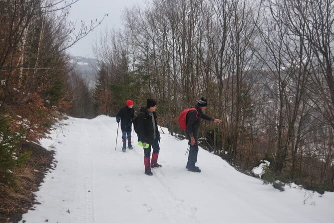 Hike in the Wild Private Photo Tour - FAQ About the Hike in the Wild Private Photo Tour