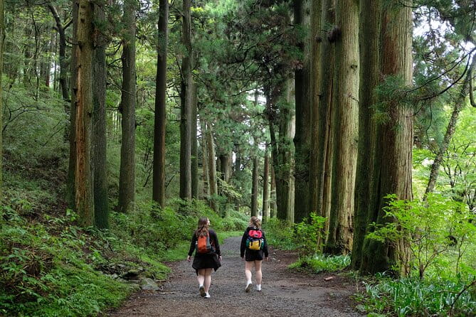 Hike Japan Heritage Hakone Hachiri (Half Day) - Meeting and Transportation