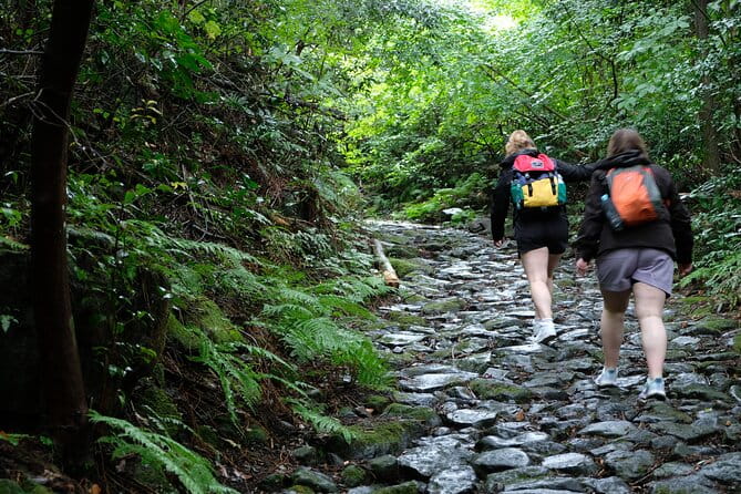 Hike Japan Heritage Hakone Hachiri (Half Day) - Guided Experience