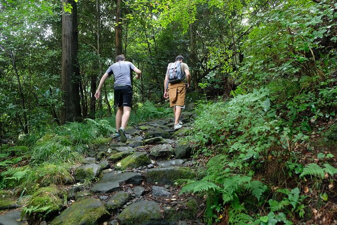 Hike Japan Heritage Hakone Hachiri With Certified Mountain Guide - Preparing for the Hike