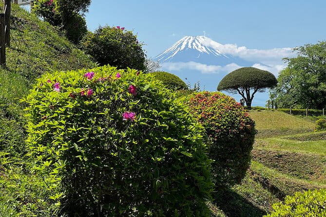Hike Japan Heritage Hakone Hachiri With Certified Mountain Guide - Transportation and Logistics