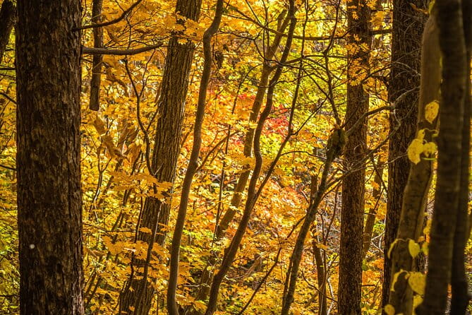 Hike Mt. Usu and Visit Lake Toya Day Tour - Booking Information