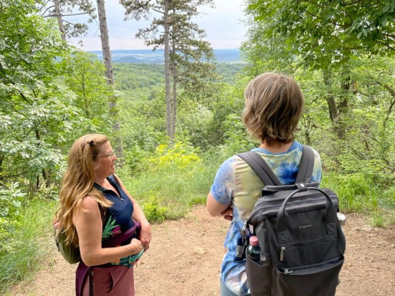 Hike, nature & picturesque view over Budapest - Key points / Takeaways