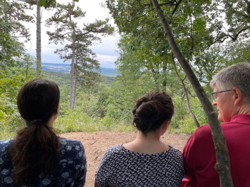 Hike, nature & picturesque view over Budapest - Why This Tour Offers Great Value