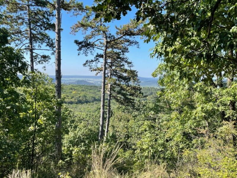 Hike, nature & picturesque view over Budapest - Practical Tips for Making the Most of Your Hike