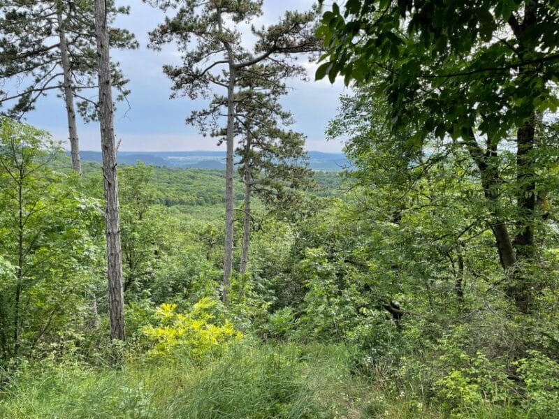 Hike, nature & picturesque view over Budapest - Final Thoughts: Is This the Right Tour for You?