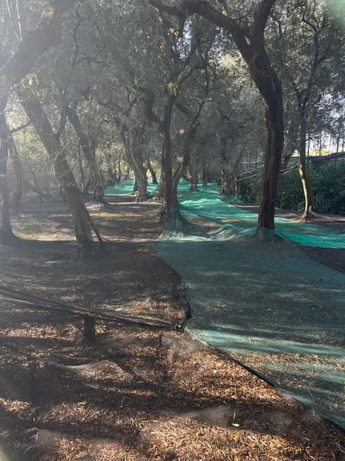 Hike & Swim: Queen Joanna (Sorrento) - FAQ