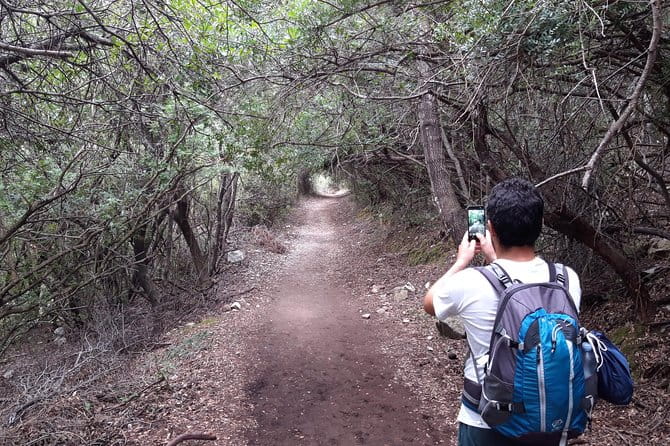 Hike to Gorropu Canyon - Why This Tour Offers Great Value