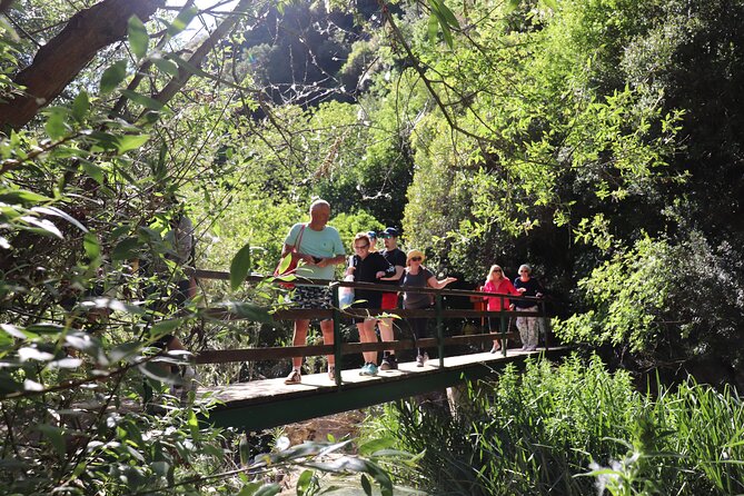 Hike to Polilimnio Waterfalls - Waterfall Hike and Exploration