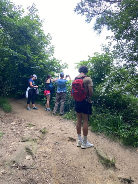 Hike Ulia | San Sebastian: El Camino de Santiago (The Way) - The Route: From Pasai San Pedro to San Sebastián