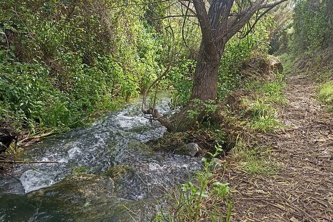 Hike & Wine Ericeira - FAQ