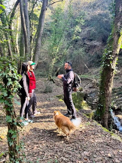 Hike with Lunch & Wine in da Vincis Land in Tuscany - A Walk Through Vinci’s Land with a Taste of Tuscany