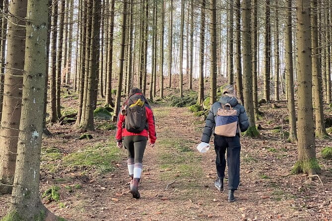 Hike with Wild Forage Surviving Tips and Local Lunch at the Lake - Exploring Sweden’s Wild Side: A Hike with Foraging, Survival Tips, and Local Flavors