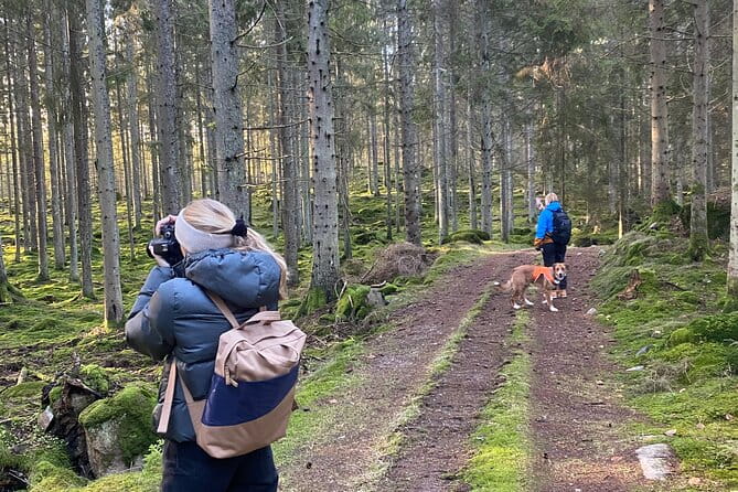 Hike with Wild Forage Surviving Tips and Local Lunch at the Lake - Key points / Takeaways