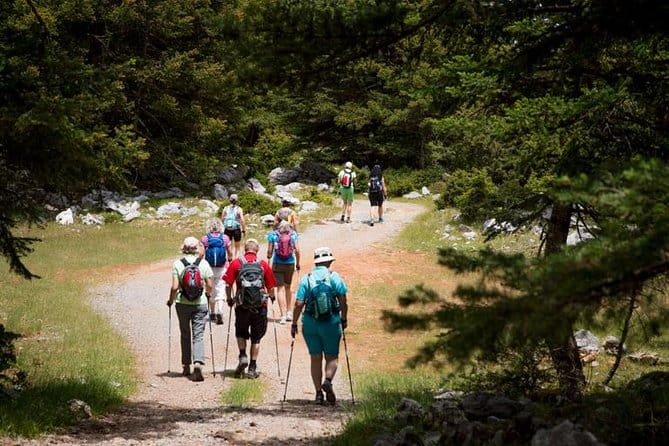 Hiking above Kalamata - Who Will Love This Tour?