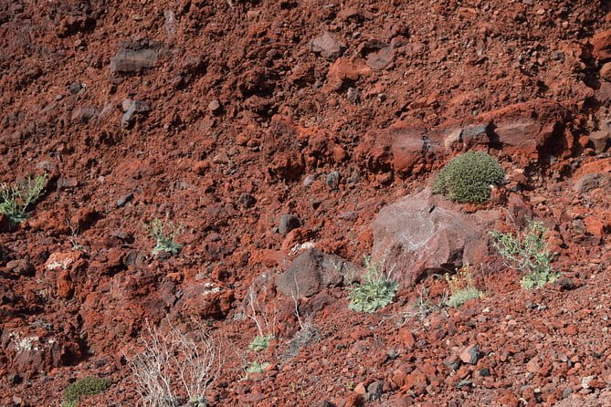 Hiking activity through the volcanic land of wonder - Unique Tips and Insights from Reviewers