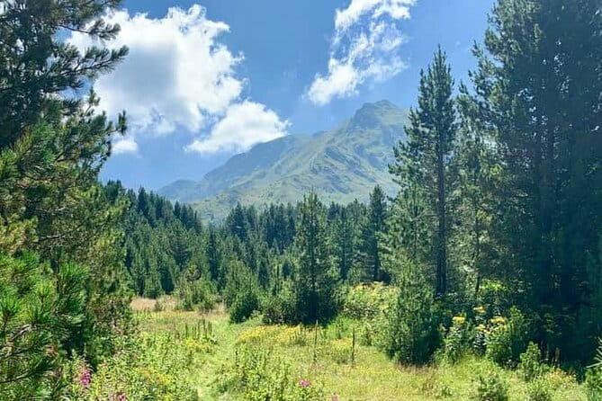 Hiking adventure in Sharri - Practical Aspects: Transport, Cost, and Booking