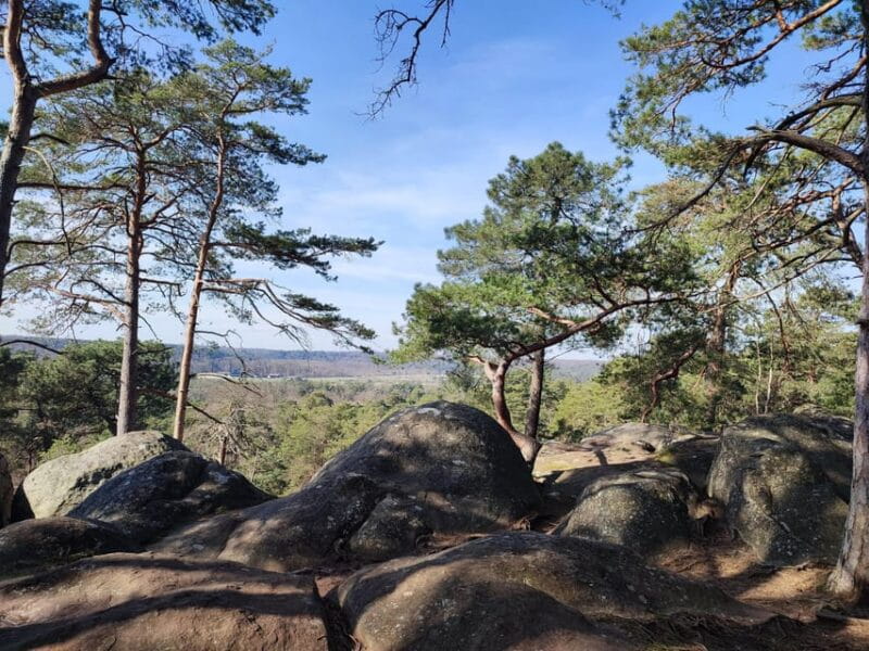 Hiking Adventure in the Fontainebleau Forest - Who Will Love This Experience?
