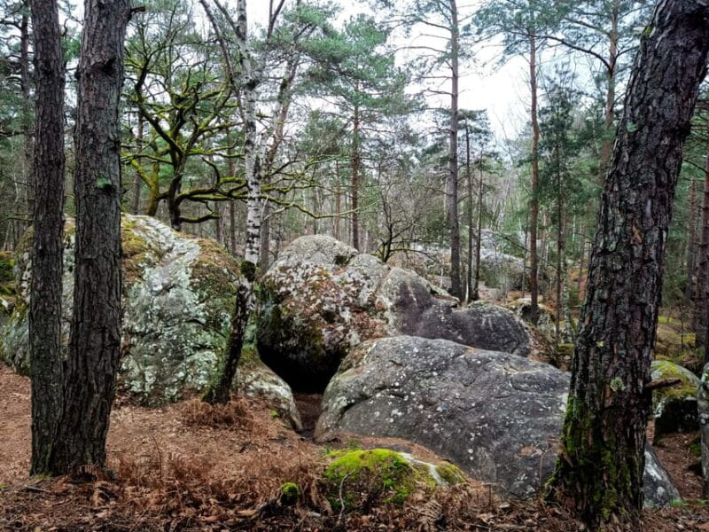 Hiking Adventure in the Fontainebleau Forest - The Itinerary Breakdown