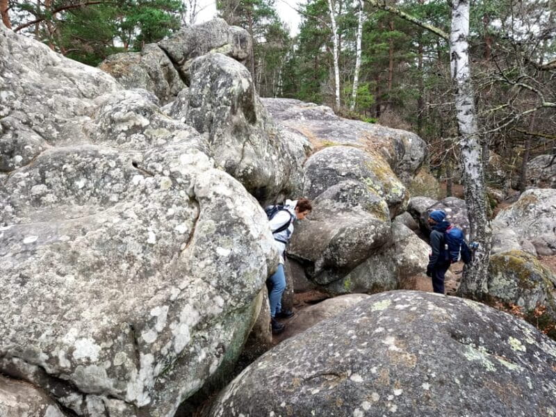 Hiking Adventure in the Fontainebleau Forest - FAQ
