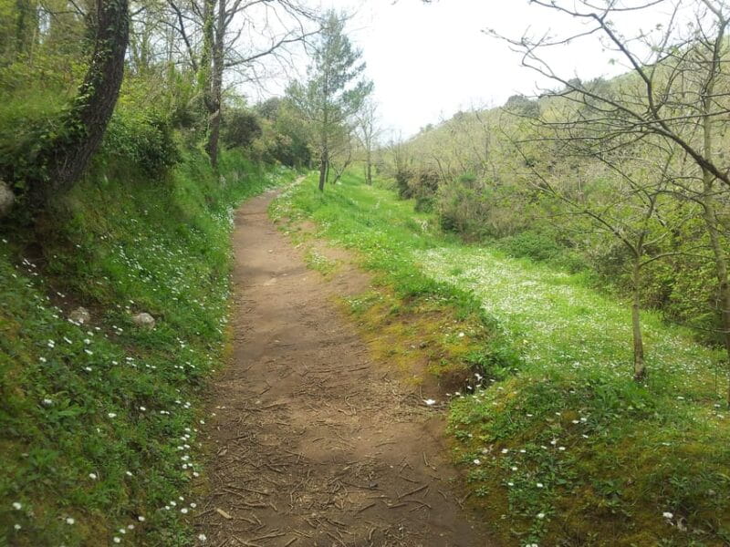 Hiking Anacapri:discover nature away from the crowds,ascent to MonteSolaro - Key Points / Takeaways