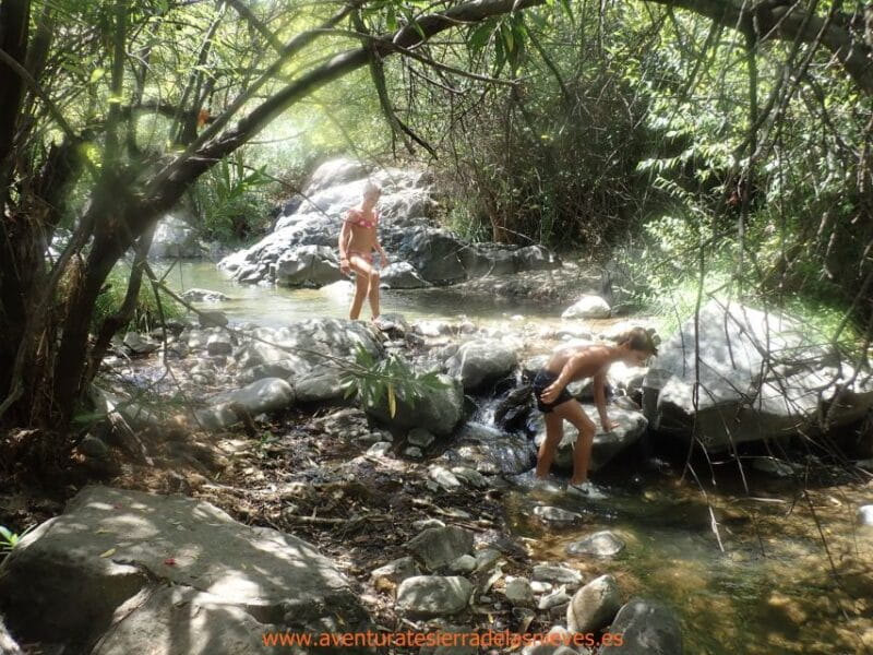 Hiking and bathing in natural pools in the National Park - Who This Tour Is Best For