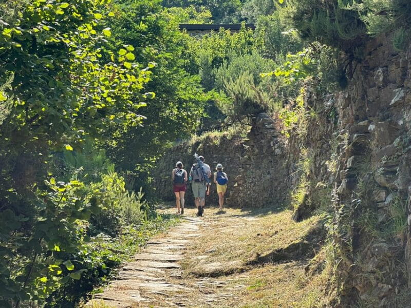 Hiking and wine tasting experience - Price and Value Analysis