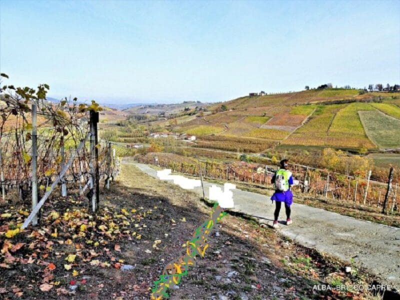 Hiking and wine tour starting from Alba - A Walking Tour Through Alba’s Hills with a Taste of Piedmont’s Finest Wines