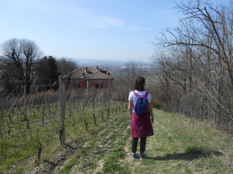 Hiking and wine tour starting from Alba - Scenic Vistas and the Landscape