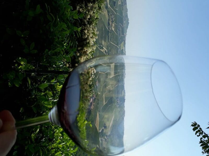 Hiking and wine tour starting from Alba - The Hilltop Winery and Wine Tasting
