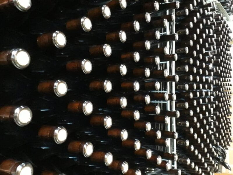 Hiking and wine tour starting from Alba - Practicalities and Logistics