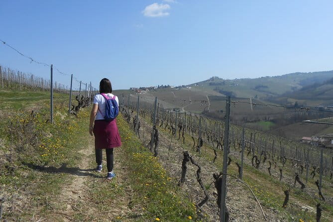 Hiking and wine tour starting from Alba - Exploring Alba’s Scenic Surroundings on Foot