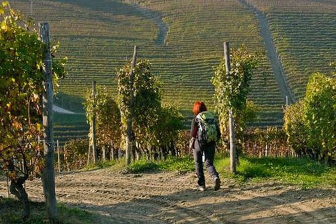 Hiking and wine tour starting from Alba - Who Should Book This Tour?