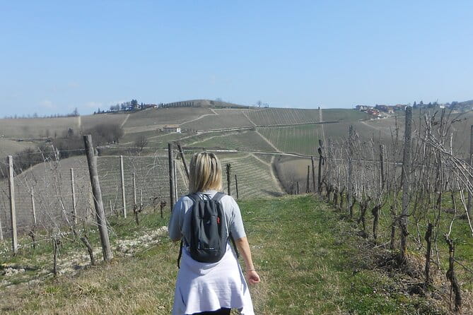 Hiking and wine tour starting from Alba - Final Thoughts: Is It Worth It?
