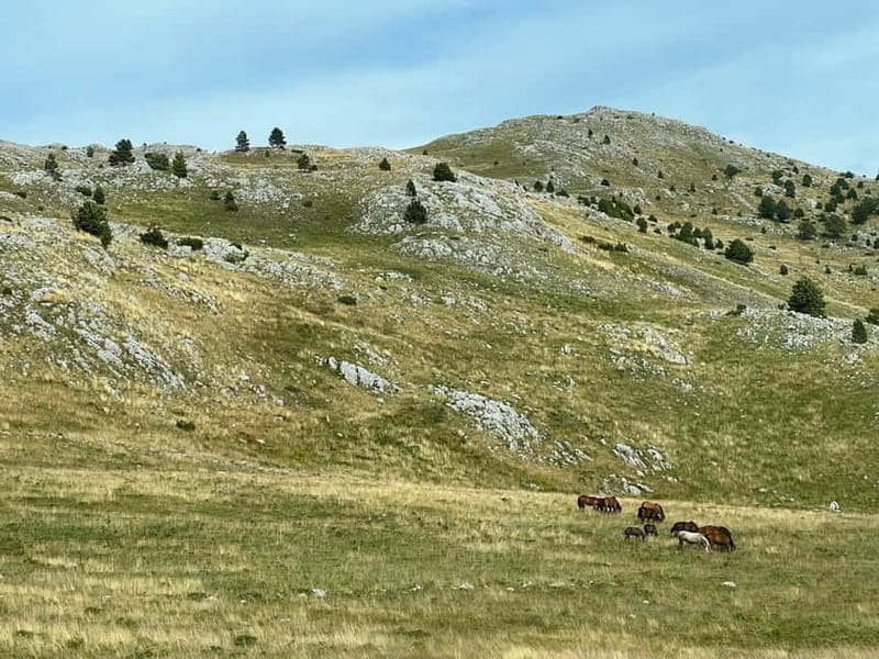 Hiking around Sarajevo: Lukomir Village Full Day Hiking Tour - Key Points / Takeaways