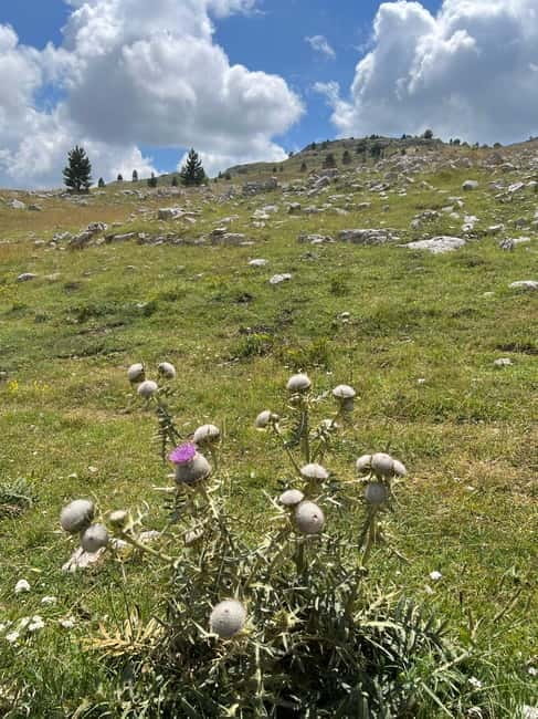 Hiking around Sarajevo: Lukomir Village Full Day Hiking Tour - Practicalities and Value