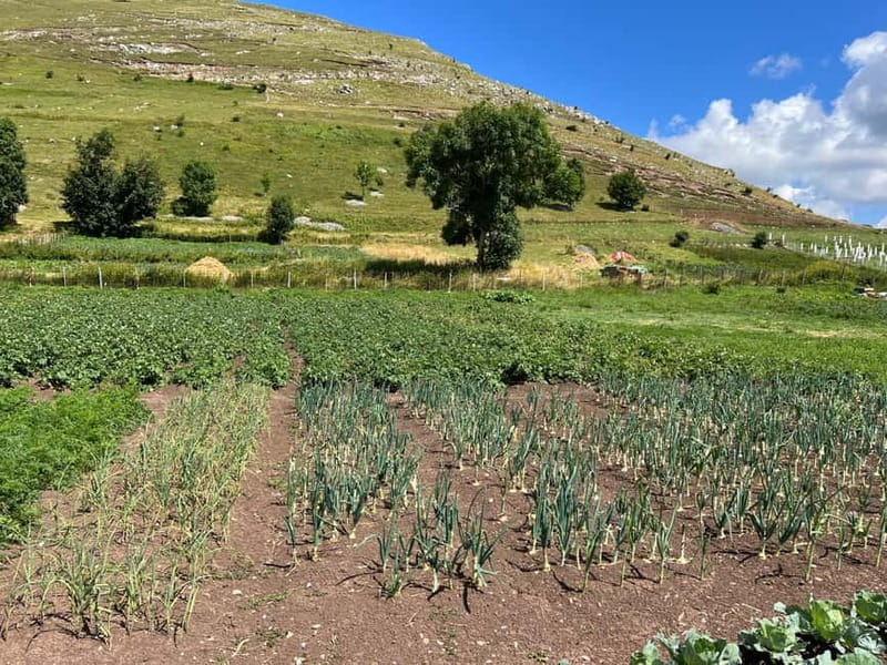 Hiking around Sarajevo: Lukomir Village Full Day Hiking Tour - Who Will Love This Tour?