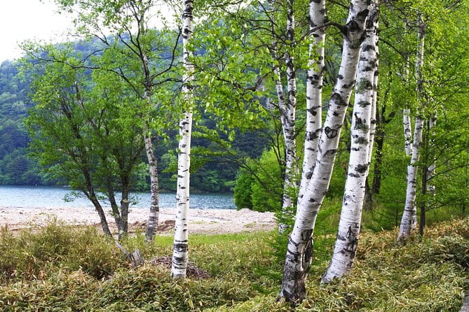 Hiking Around Yuno Lake: Revel in the Essence of Nikkos Nature and History - Preparing for the Hiking Adventure