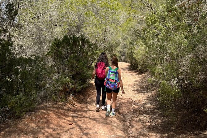 Hiking guide tours in Ibiza - Explore stunning views with us! IHL - Entering the Heart of Ibiza’s Natural Beauty
